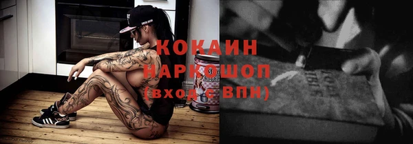 прущий лед Новозыбков