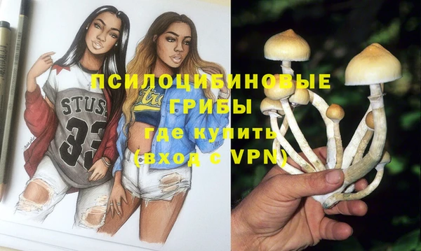 прущий лед Новозыбков