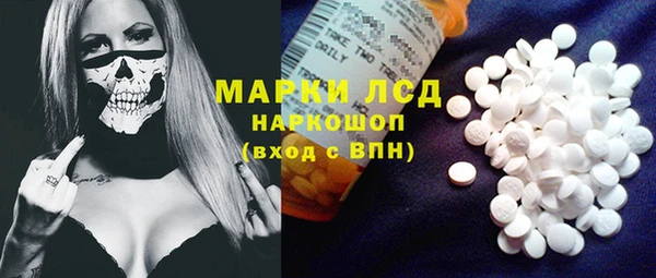 прущий лед Новозыбков