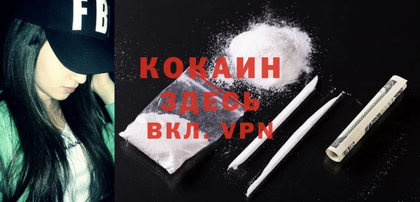 прущий лед Новозыбков
