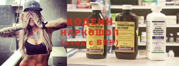 прущий лед Новозыбков