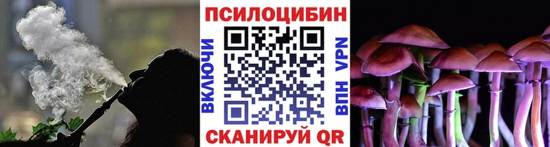 Галлюциногенные грибы прущие грибы  Купить  Дмитриев 